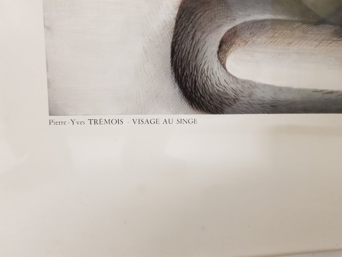 lithographie TRÉMOIS