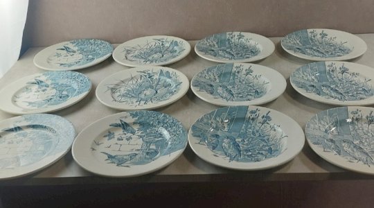 Lot 12 anciennes assiettes plates, décor oiseaux + insectes, Clairefontaine