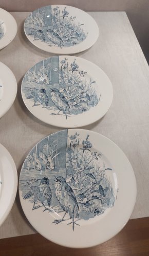 Lot 12 anciennes assiettes plates, décor oiseaux + insectes, Clairefontaine