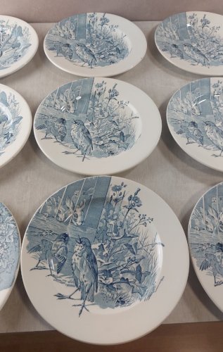 Lot 12 anciennes assiettes plates, décor oiseaux + insectes, Clairefontaine