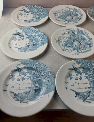 Lot 12 anciennes assiettes plates, décor oiseaux + insectes, Clairefontaine