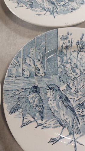 Lot 12 anciennes assiettes plates, décor oiseaux + insectes, Clairefontaine