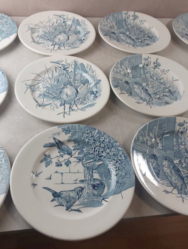 Lot 12 anciennes assiettes plates, décor oiseaux + insectes, Clairefontaine