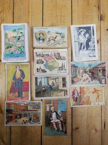 Lot 160 Chromolithographies Anciennes/plantes medicinales/poulain/lombart/bonzel