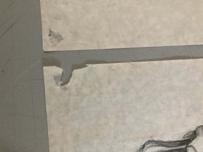 Lot 2 Dessin nature morte au Crane  Papier 1980 Squelette Art Curiosité Curiosa