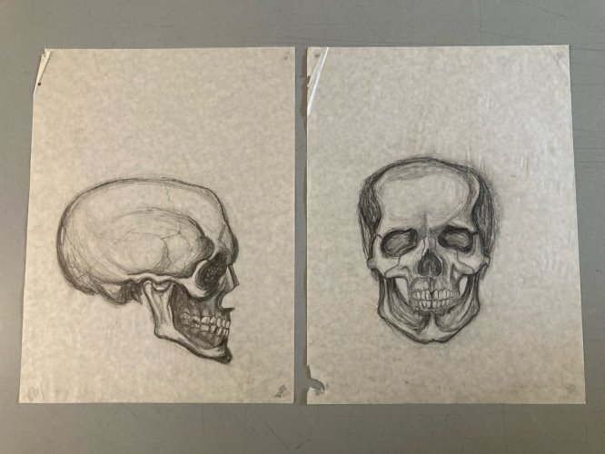 Lot 2 Dessin nature morte au Crane  Papier 1980 Squelette Art Curiosité Curiosa