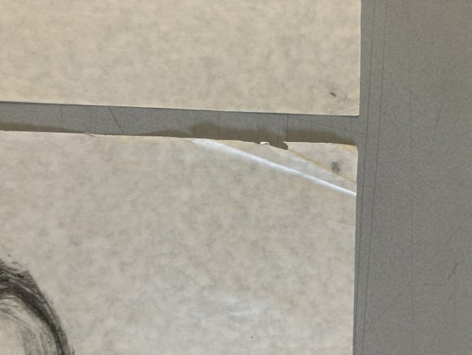 Lot 2 Dessin nature morte au Crane  Papier 1980 Squelette Art Curiosité Curiosa