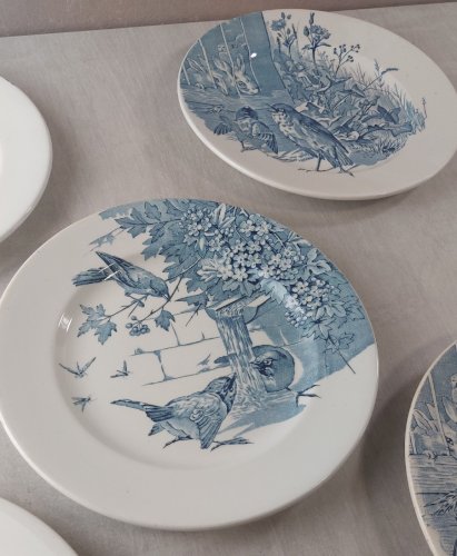 Lot 5 anciennes assiettes plates, décor oiseaux + insectes, Clairefontaine