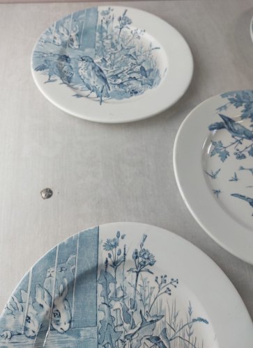 Lot 5 anciennes assiettes plates, décor oiseaux + insectes, Clairefontaine