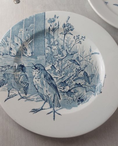 Lot 5 anciennes assiettes plates, décor oiseaux + insectes, Clairefontaine