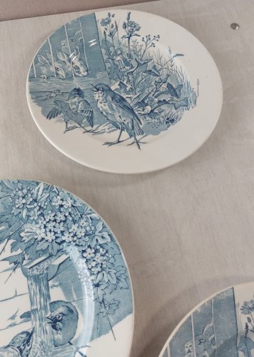 Lot 5 anciennes assiettes plates, décor oiseaux + insectes, Clairefontaine