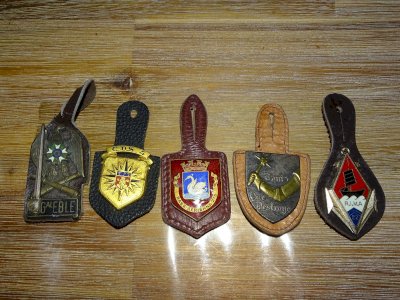 -LOT  5 INSIGNES PUCELLES GENERAL ELBE CHASSEURS D'AFRIQUE GRANDES UNITES etc  D