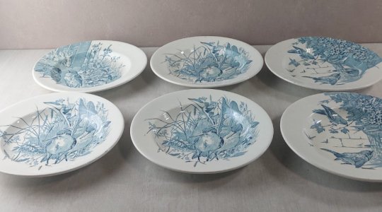 Lot 6 anciennes assiettes creuses, décor oiseaux + insectes, Clairefontaine