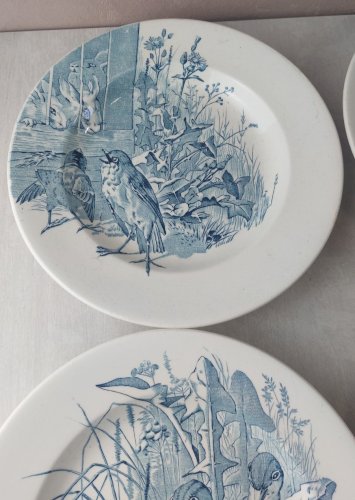 Lot 6 anciennes assiettes creuses, décor oiseaux + insectes, Clairefontaine