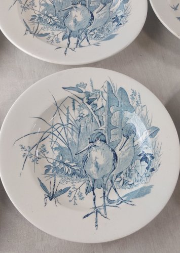 Lot 6 anciennes assiettes creuses, décor oiseaux + insectes, Clairefontaine