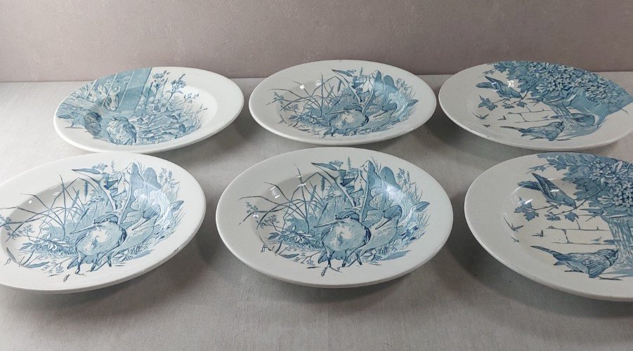 Lot 6 anciennes assiettes creuses, décor oiseaux + insectes, Clairefontaine