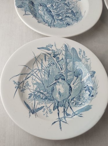 Lot 6 anciennes assiettes creuses, décor oiseaux + insectes, Clairefontaine