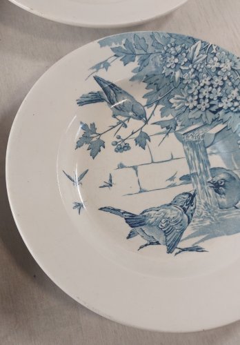 Lot 6 anciennes assiettes creuses, décor oiseaux + insectes, Clairefontaine