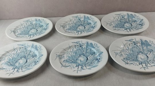 Lot 6 anciennes assiettes plates, décor oiseaux + insectes, Clairefontaine