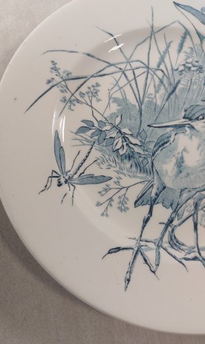 Lot 6 anciennes assiettes plates, décor oiseaux + insectes, Clairefontaine