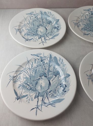 Lot 6 anciennes assiettes plates, décor oiseaux + insectes, Clairefontaine