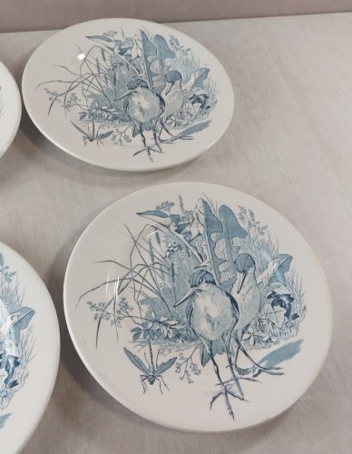 Lot 6 anciennes assiettes plates, décor oiseaux + insectes, Clairefontaine