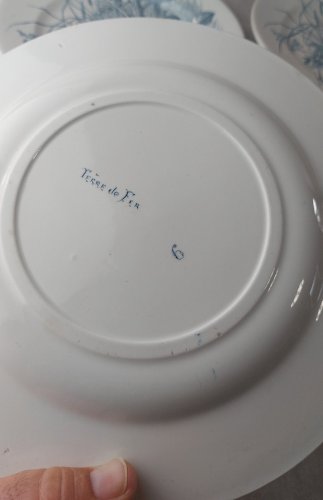 Lot 6 anciennes assiettes plates, décor oiseaux + insectes, Clairefontaine