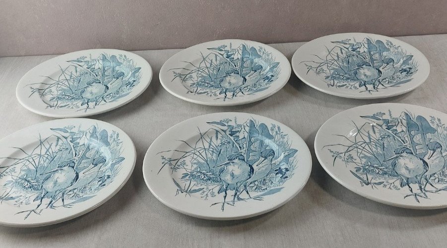 Lot 6 anciennes assiettes plates, décor oiseaux + insectes, Clairefontaine
