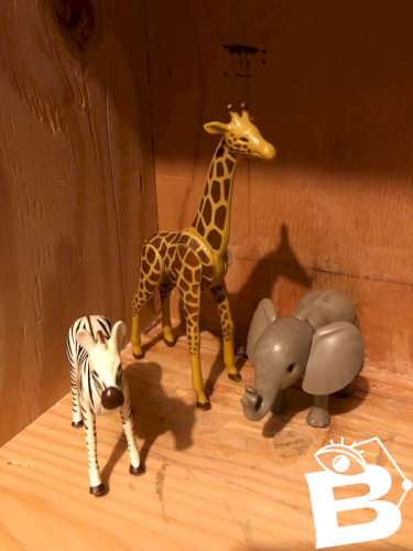 Lot d animaux de la Savane Playmobil