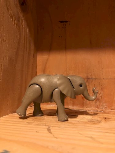 Lot d animaux de la Savane Playmobil