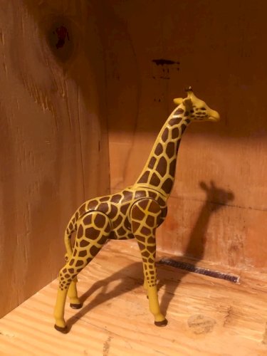 Lot d animaux de la Savane Playmobil