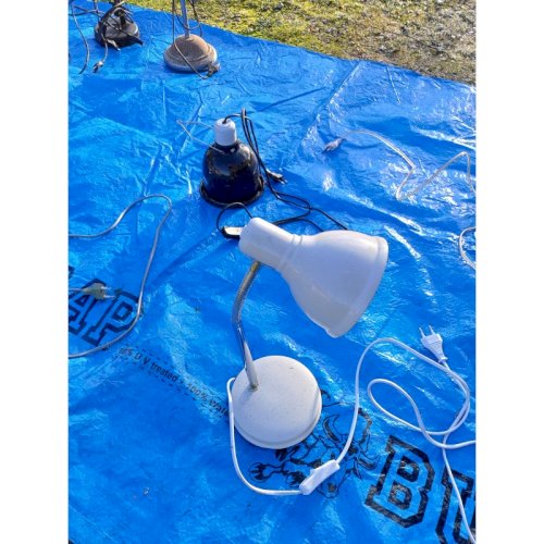 Lot de 14 Lampes de Bureau