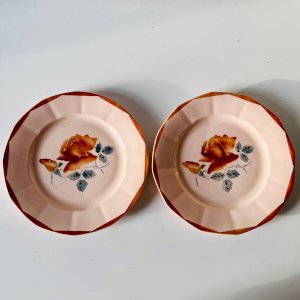Lot de 2 assiettes anciennes en faïence Sarreguemines à décor floral
