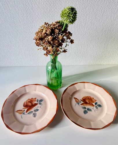 Lot de 2 assiettes anciennes en faïence Sarreguemines à décor floral