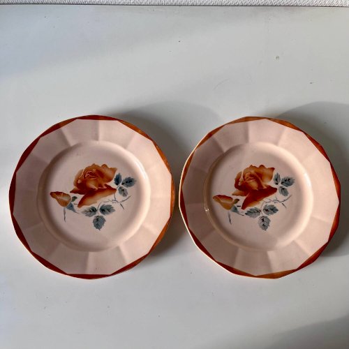 Lot de 2 assiettes anciennes en faïence Sarreguemines à décor floral
