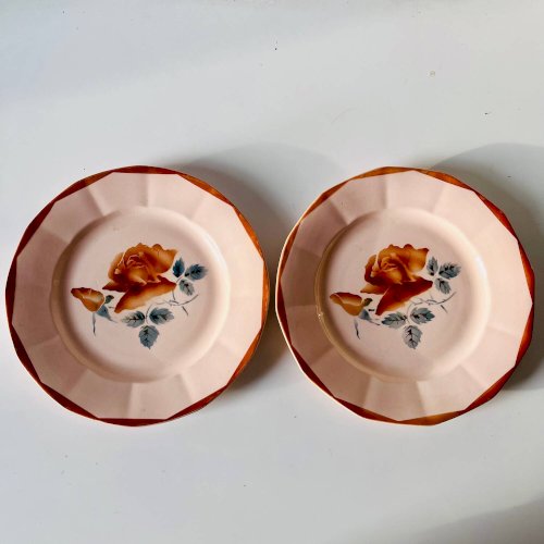 Lot de 2 assiettes anciennes en faïence Sarreguemines à décor floral