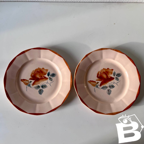 Lot de 2 assiettes anciennes en faïence Sarreguemines à décor floral