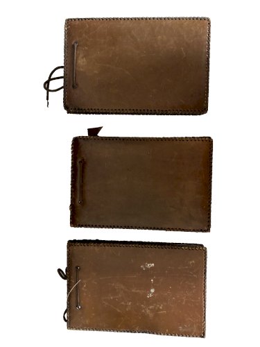 lot de 3  Albums Photos en cuir repoussé decor de dragon dans leur jus