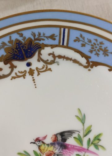 Lot de 5 assiettes, décor oiseaux, bord bleus, en porcelaine de Meissen ^