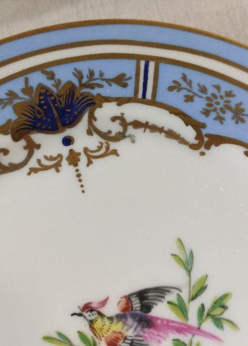 Lot de 5 assiettes, décor oiseaux, bord bleus, en porcelaine de Meissen ^