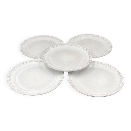 Lot de 5 assiettes plates Ceramano