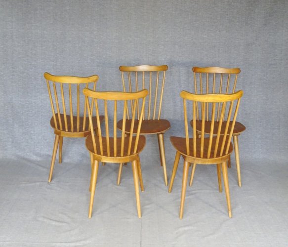 Lot de 5 chaises Baumann Menuet N°841 - 1968 - Scandinave -