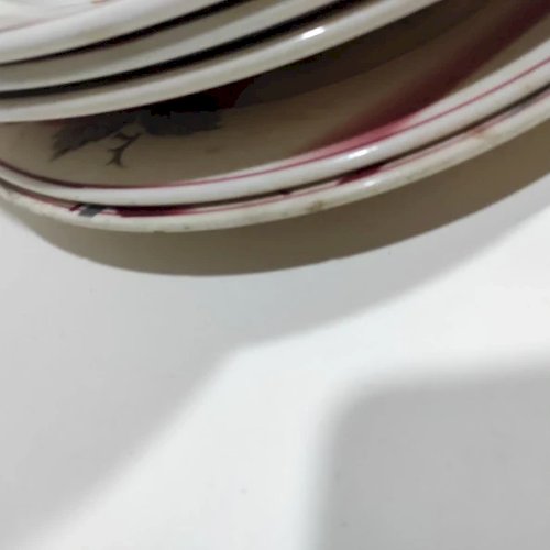 Lot de 6 assiettes Digoin Sarreguemines, décor La Rose