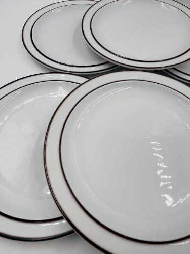 Lot de 6 assiettes plates Thomas