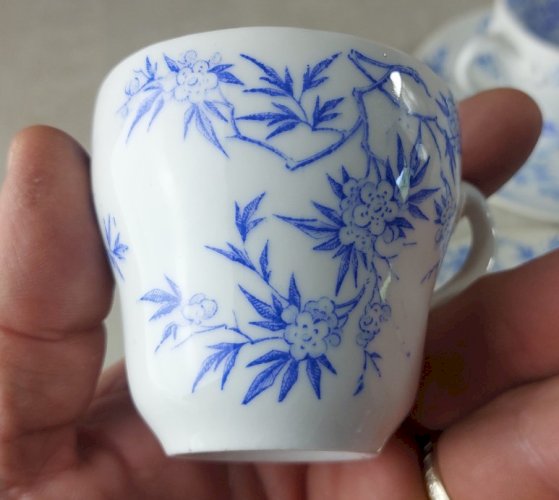 Lot de 6 tasses + sous tasses, en porcelaine de Sarreguemines, épines bleues