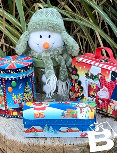 Lot de boites de Noël