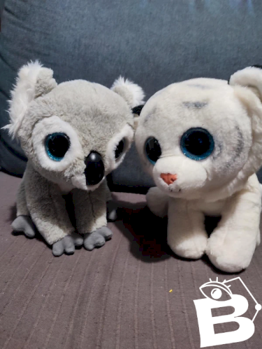 lot de deux peluches koala et tigre blanc de taille moyenne TY en tres bon etat