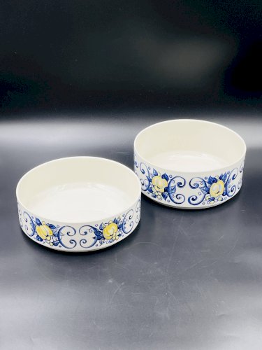 Lot de deux saladiers Cadiz Villeroy & Boch