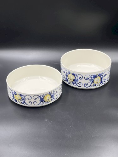 Lot de deux saladiers Cadiz Villeroy & Boch