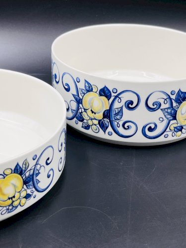 Lot de deux saladiers Cadiz Villeroy & Boch